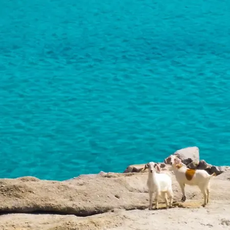 Vakantiehuis Sunny Getaway In Mykonos Lia