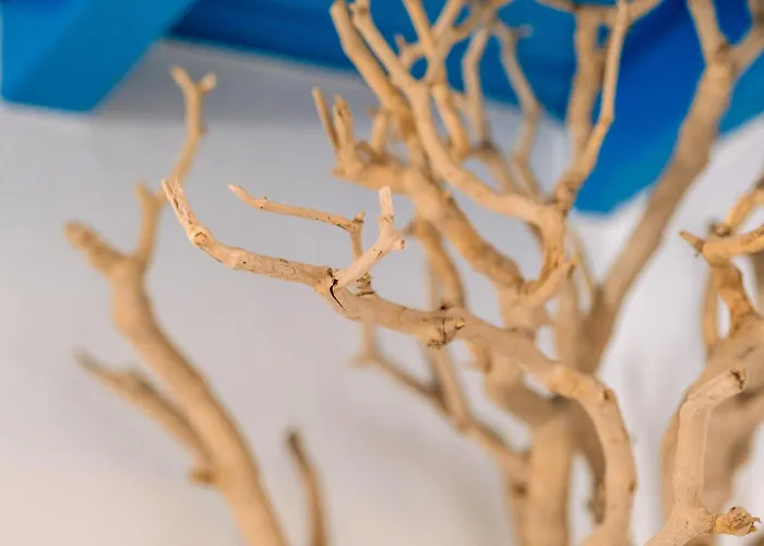 펜션 Sunny Getaway In Mykonos Lia 칼라파티스