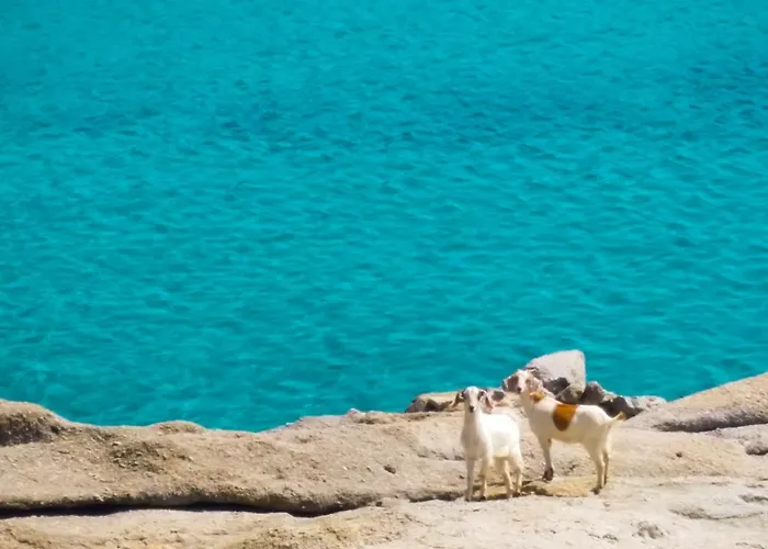 펜션 Sunny Getaway In Mykonos Lia