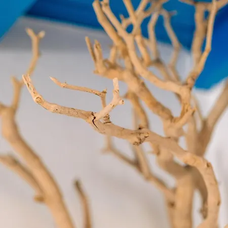 בית נופש Sunny Getaway In Mykonos Lia קלפטיס